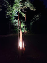 Carica l&#39;immagine nel visualizzatore di Gallery, Pianta in ferro - Typha latifolia (Masagatt)
