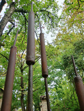 Carica l&#39;immagine nel visualizzatore di Gallery, Pianta in ferro - Typha latifolia (Masagatt)
